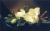 Martin Johnson Heade Two Magnolias and a Bud on Teal Velvet painting
